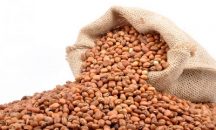 Fact sheet about sweet potato, groundnut and cowpea in Ghana
