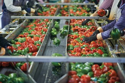 Germany re-focuses devt partnership on food processing