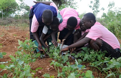 Youth in Innovative Agriculture laudable initiative