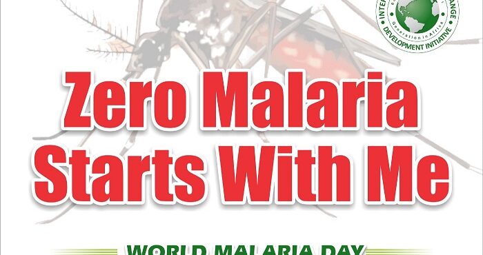 Achieving a zero-malaria society through innovation