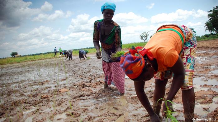 Women’s lack of control and land ownership is affecting agriculture productivity