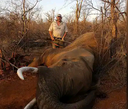Hunter who killed many wild animals shot dead