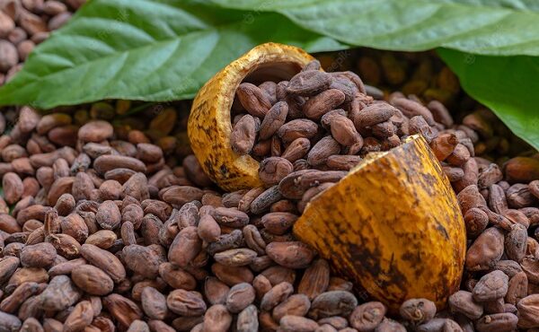 Health benefits of Cocoa