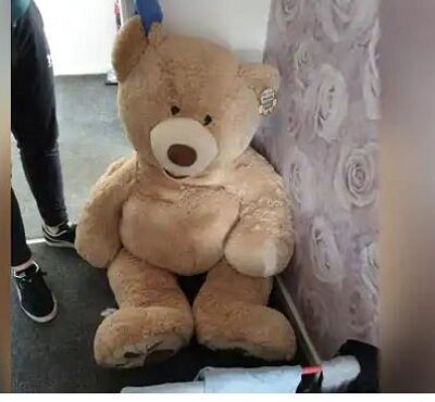 Car thief jailed after he was caught hiding inside giant teddy bear