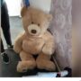 • The thief stuffed himself inside a giant teddy bear