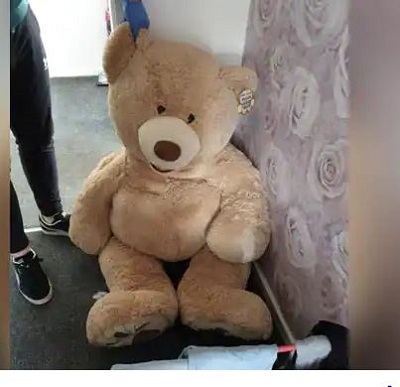 • The thief stuffed himself inside a giant teddy bear