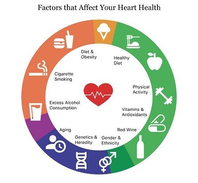 Heart health and employee productivity