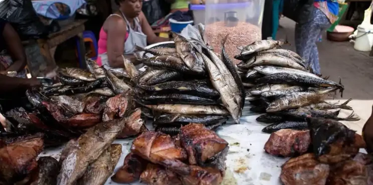 Premix fuel scarcity pushes fish prices up 
