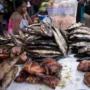 Premix fuel scarcity pushes fish prices up 