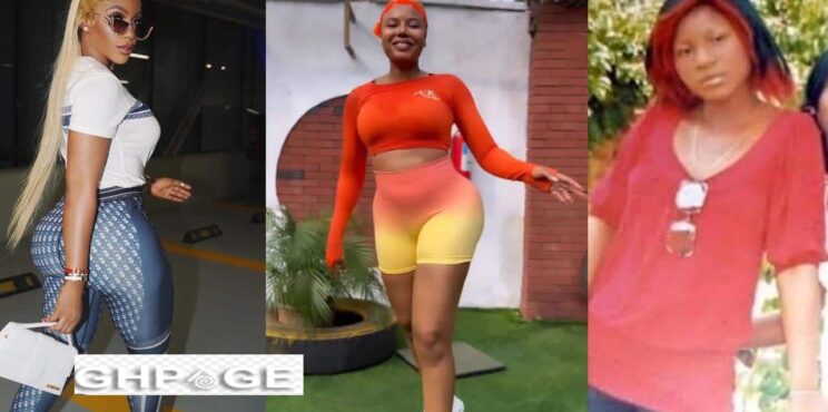 Top 8 Female Nigerian Celebrities who have undergone Brazilan butt lift (BBL) – Check out before and after photos