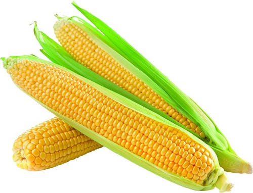 • Fresh corn