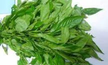 Health benefits of jute leaves (Ademe)