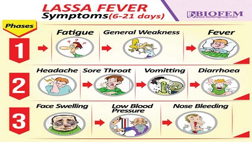 Lassa fever – Another call to improve sanitation